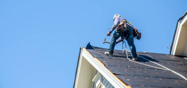 Best Sealant for Roof  in Burke, VA